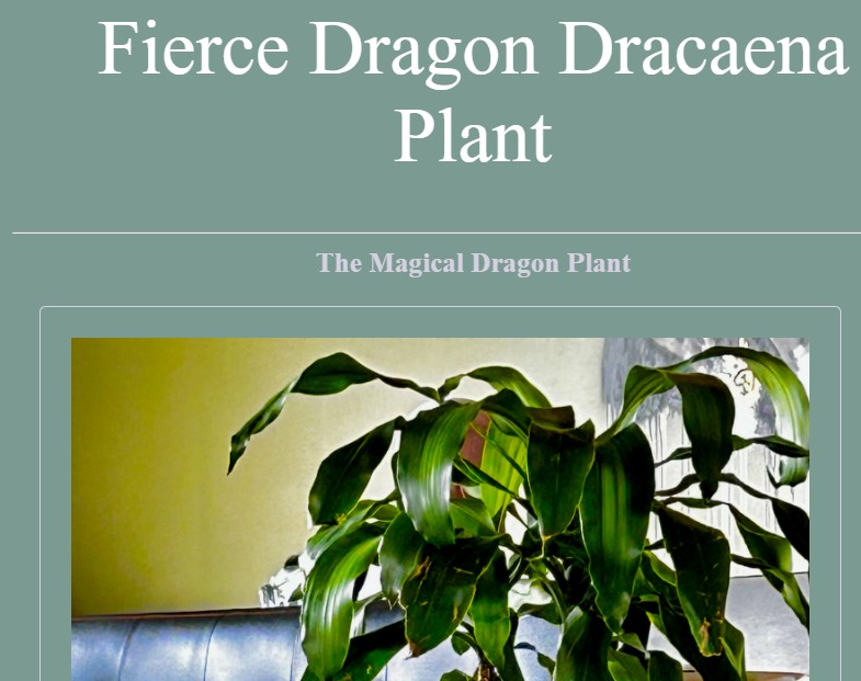 Dragon Plant Website Screenshot